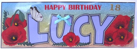 Poppies & Butterfly Lucy Large Dl by Hilda Mullinger