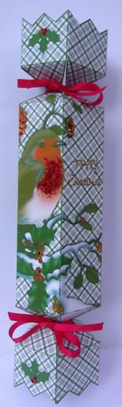 Robin misteltoe and holly Christmas cracker by Hilda Mullinger
