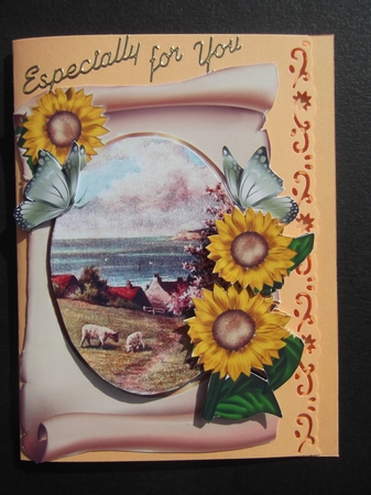lovely scene of cornwall with sheep and sunflowers on a scroll by Hilda Mullinger