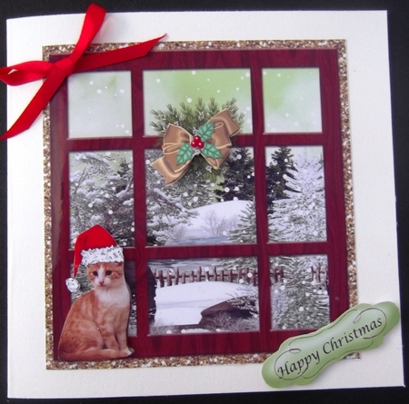 Christmas window with Cat  by Hilda Mullinger