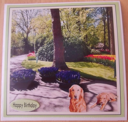 For Dog and garden lovers by Hilda Mullinger