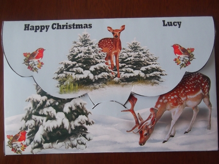 Christmas Money wallet by Hilda Mullinger