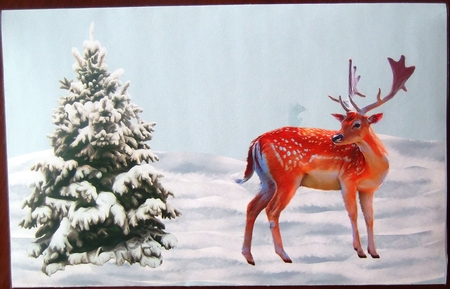 Christmas Money wallet by Hilda Mullinger