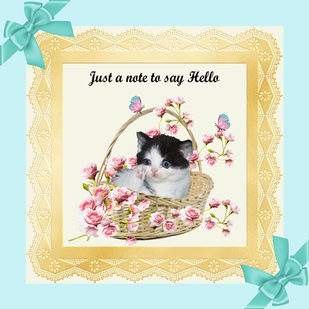 Just a note for Cat lovers 4 by Hilda Mullinger