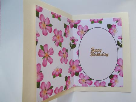 Pink Cherry Blossom Insert 2 by Hilda Mullinger