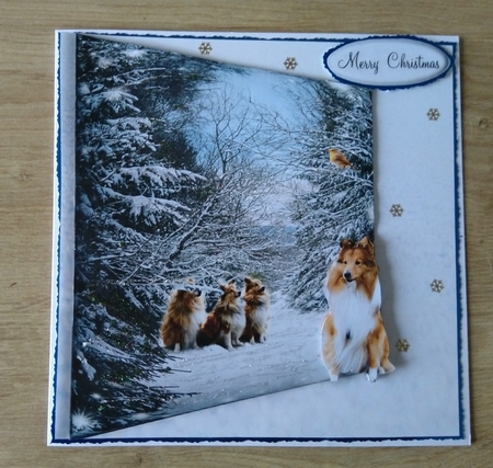 waiting in the snow  by Honorscard Appleby