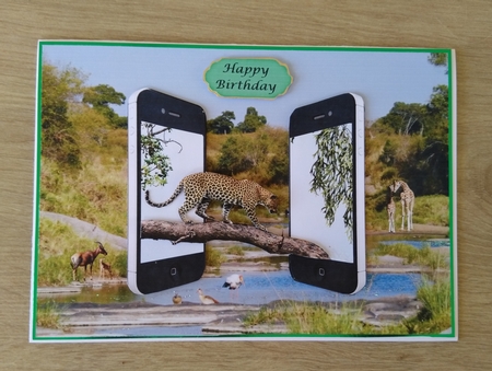 Dual Phones Leopard by Honorscard Appleby