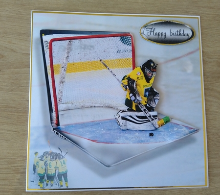 online ice hockey by Honorscard Appleby