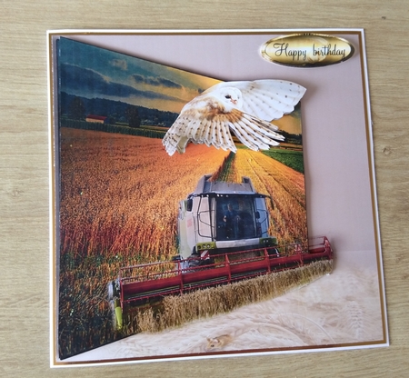 harvest by Honorscard Appleby
