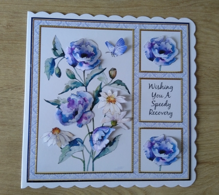Poppies N Daisies Get Well Card Four by Honorscard Appleby