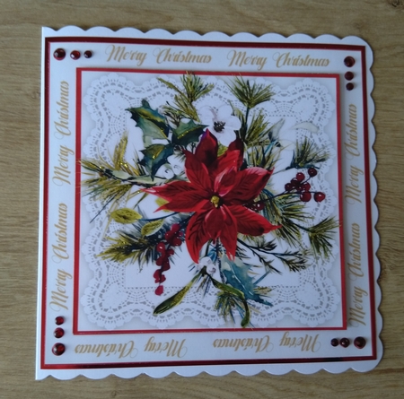 Beautiful  Poinsettia on Lace  by Honorscard Appleby
