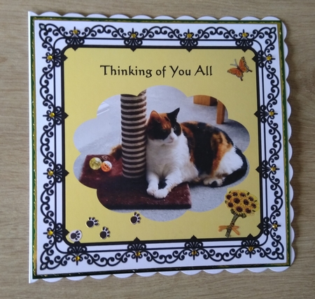 Swirl Frame Mat by Honorscard Appleby