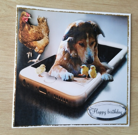 my chicks by Honorscard Appleby