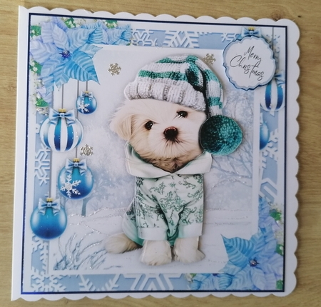 Adorable Dog With A Hat 8x8  by Honorscard Appleby