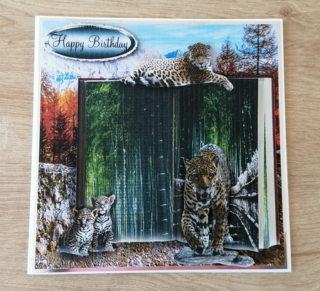 big cats book by Honorscard Appleby