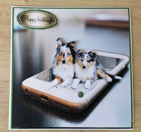 mini me by Honorscard Appleby
