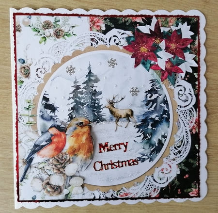 Christmas Scenes 17 Snowy Robin & Bullfinch 8 x 8 Card Front with Sentiments Red/Black/White by Honorscard Appleby
