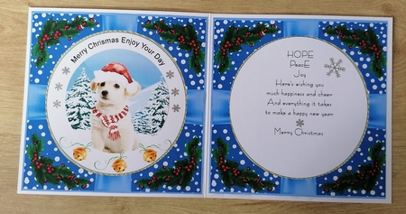 Blue snowflake and holly insert blank by Honorscard Appleby