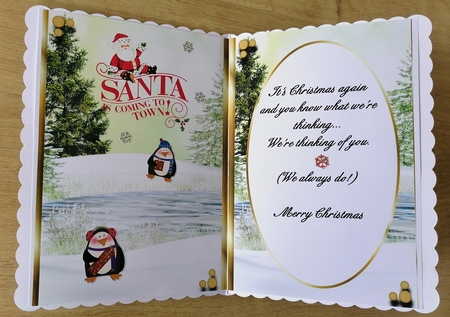A5 Snowy Scene Penguin Insert  by Honorscard Appleby