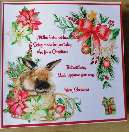 Christmas Bunny wishes insert by Honorscard Appleby
