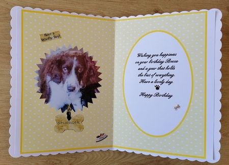 Yellow And White Polka Dot - Insert by Honorscard Appleby