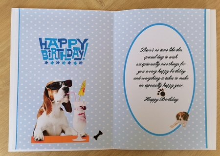 Blue And White Polka Dots - Insert by Honorscard Appleby