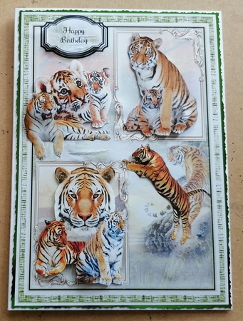 Born To Be Wild 5x7 Mini Page Kit  by Honorscard Appleby