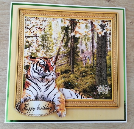 tiger by Honorscard Appleby