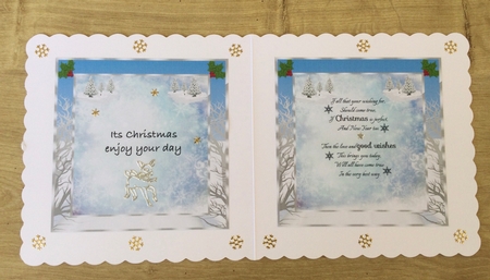 Winter Christmas insert 3 by Honorscard Appleby