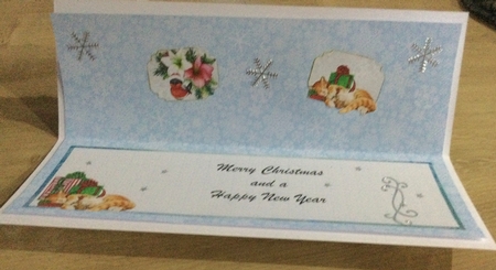Matching blank insert for the design sheet - Christmas DL topper 5 by Honorscard Appleby