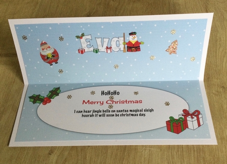 Scottish Snowman EVA large dl insert by Honorscard Appleby
