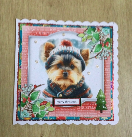 Christmas Baby Yorkshire Terrier 2 by Honorscard Appleby