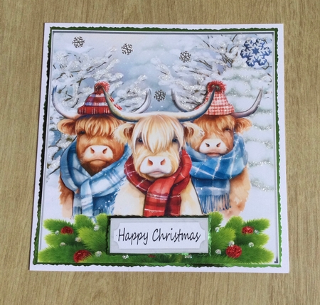 Highland Cows In The Winter With Holly 8x8 (one) by Honorscard Appleby