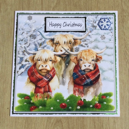 Highland Cows In The Winter With Holly 8x8 (Three) by Honorscard Appleby