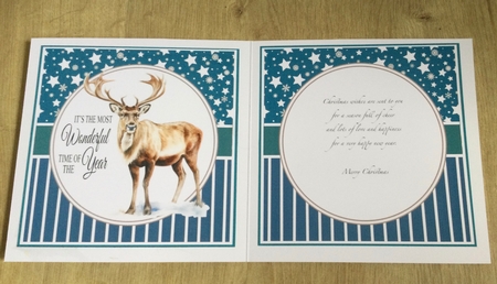 CHRISTMAS STAG INSERT by Honorscard Appleby