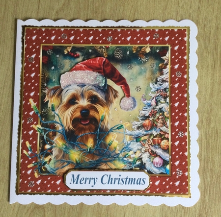 Framed pup in a tangle Christmas card front 18 by Honorscard Appleby