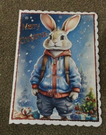 EW A4 Xmas Bunny 02 by Honorscard Appleby
