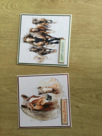 Wild Horse Card Toppers by Honorscard Appleby