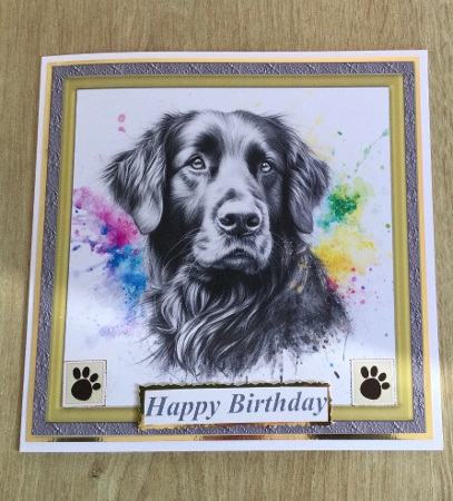 Paint splash Retriever card front 2 by Honorscard Appleby