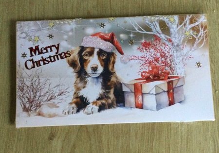 Christmas Border Collie in the Snow Money Wallet by Honorscard Appleby