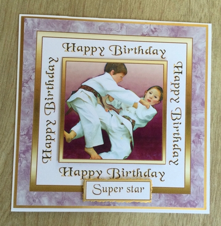 SC Judo 2 by Honorscard Appleby