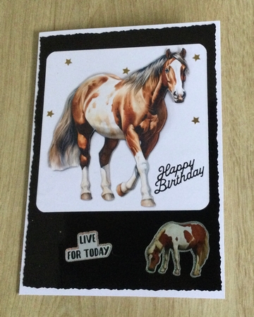 Horse Card Toppers by Honorscard Appleby