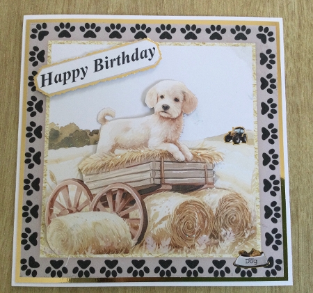 Its a dogs life on the farm card front 4 by Honorscard Appleby