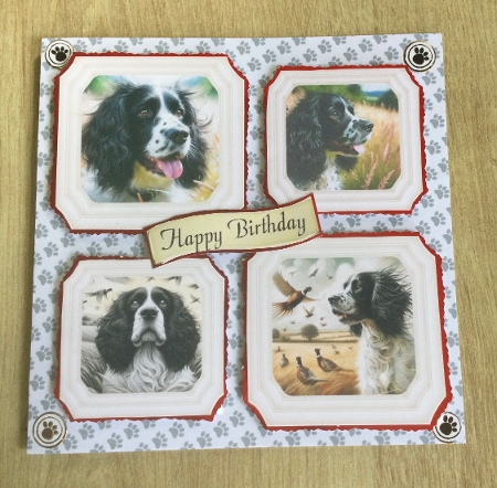 6 Black and white Springer spaniel toppers by Honorscard Appleby