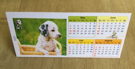 Cute Puppies 2025 Triangle Desk Calendar by Honorscard Appleby