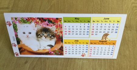 Cute Kittens 2025 Triangle Desk Calendar by Honorscard Appleby