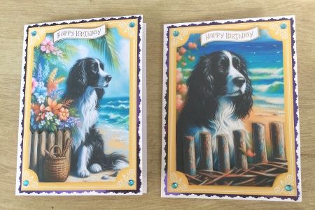 2 Beach black and white Springer spaniel card fronts 3 by Honorscard Appleby