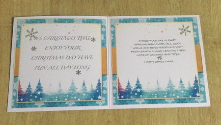 Blank Christmas Insert and Sentiments by Honorscard Appleby