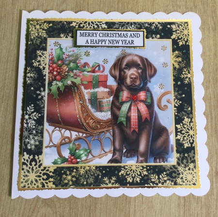 CHRISTMAS CHOCOLATE LABRADOR by Honorscard Appleby