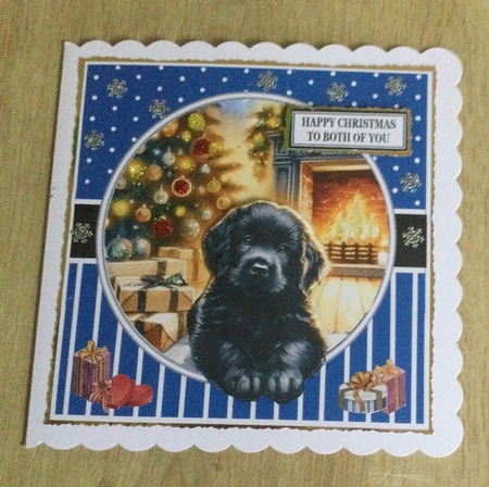 CHRISTMAS PUPPY by Honorscard Appleby